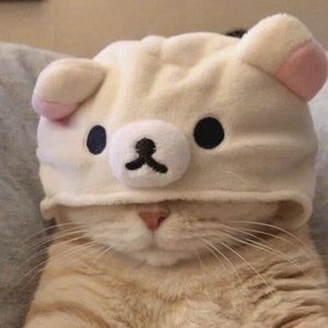 Meet your Posher, Lukas